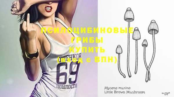 a pvp Володарск